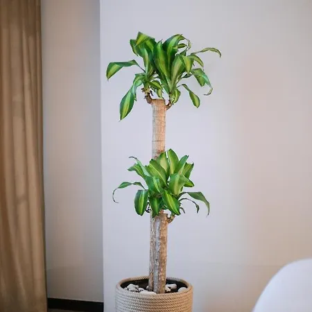 Hotel Boulevard Boutique