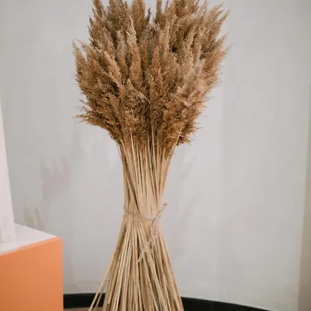 Boulevard Boutique Korce