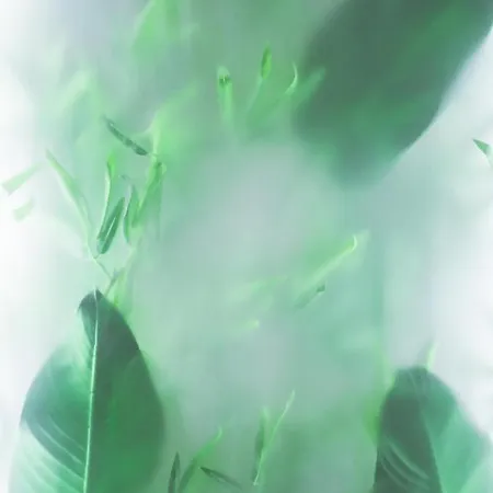 Boulevard Boutique * كورتشي